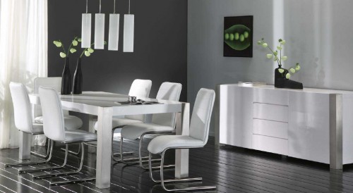 Zijlstra Design Esszimmerstuhl Freischwinger mit Edelstahl Gestell, Stuhl Leder Grau